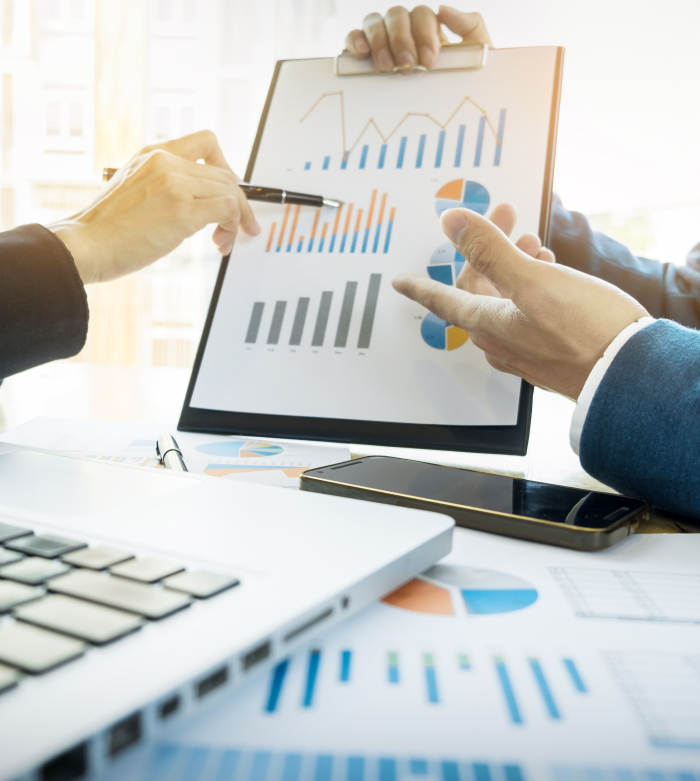 Auditing & Risk Assurance